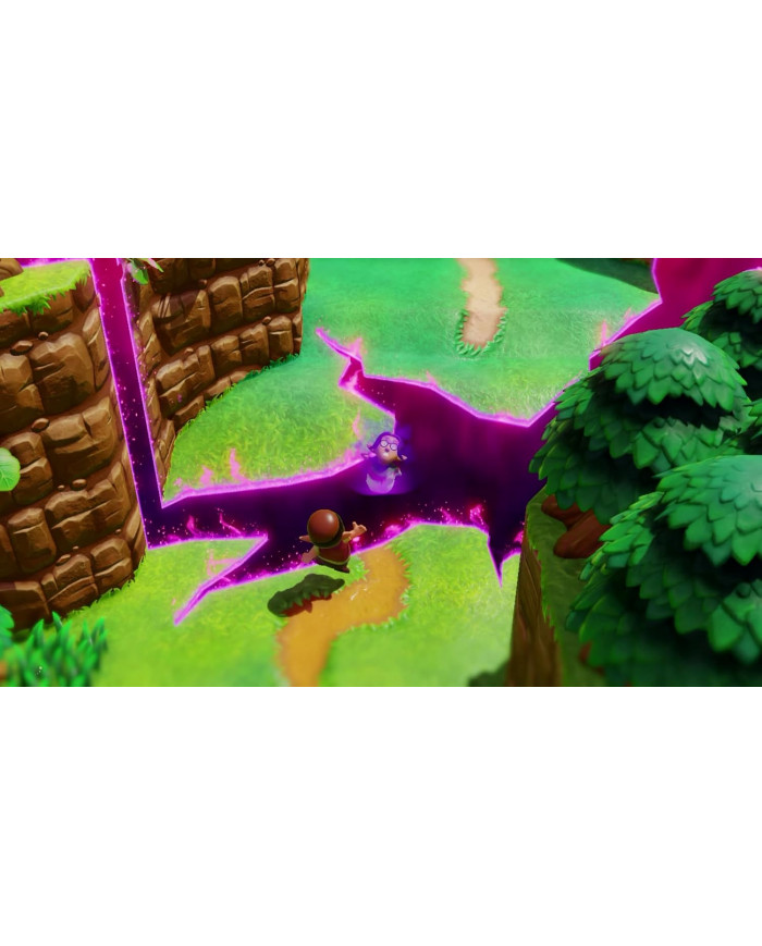 THE LEGEND OF ZELDA: ECHOES OF WISDOM (SWITCH)